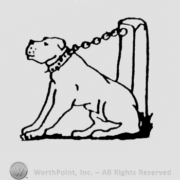 Dog tied with chain to a pole