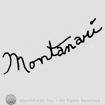 Montanari handwritten with lowercase letters