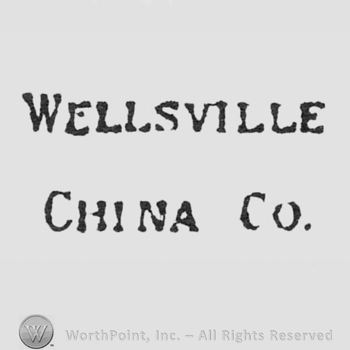 written on 2 lines: WELLSVILLE above, CHINA Co under