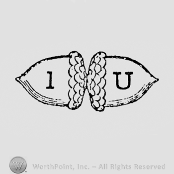 Two accorns with letters I and U written over.