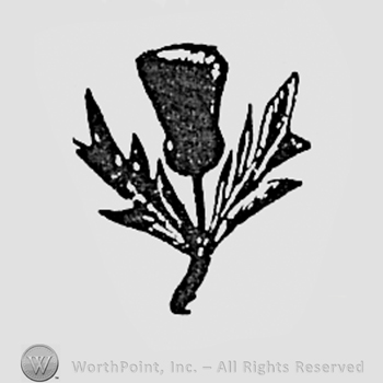 Cotton plant.