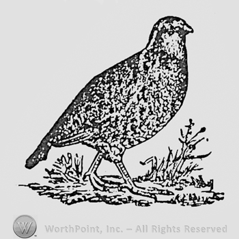 Bird.