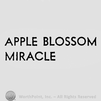 Words APPLE BLOSSOM MIRACLE.