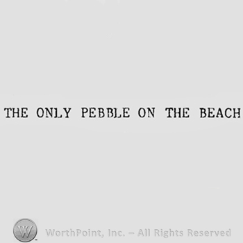 Words THE ONLY PEBBLE ON THE BEACH.