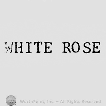 Words WHITE ROSE.