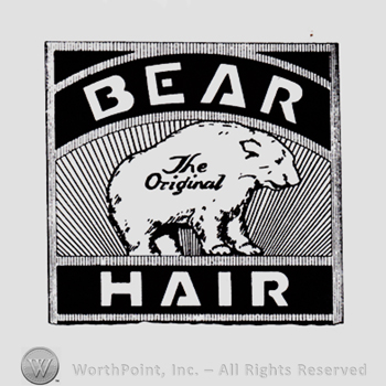 Bear inside a square; words BEAR HAIR written above and bellow.