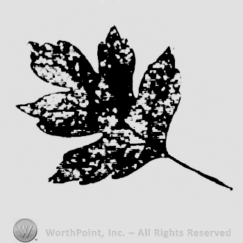 A leaf.