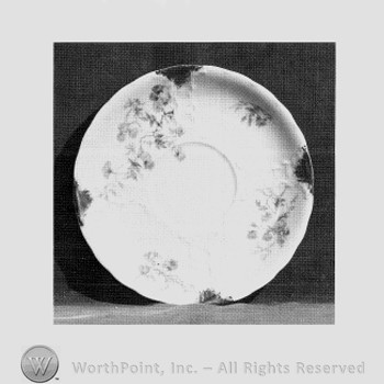 New Delhi saucer pattern.