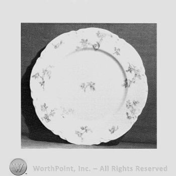 Stevens dinner plate pattern.