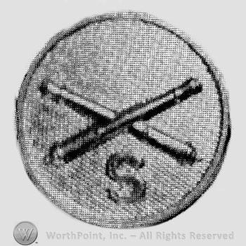 Insignia consisted of crossed cannons  and letter S below; all on a plate.
