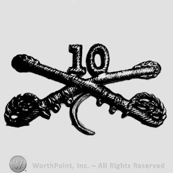 Insignia consisted of crossed sabres, number 10 above and a crescent below.