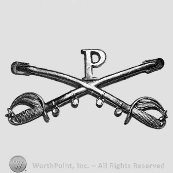 Insignia consisted of crossed sabres and letter P above.