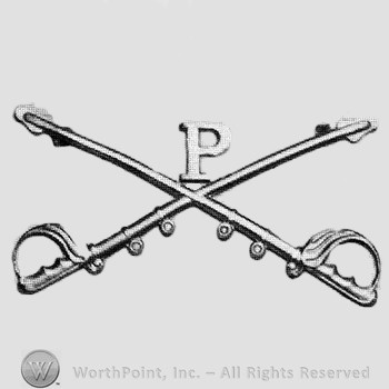 Insignia consisted of crossed sabres and letter P above.