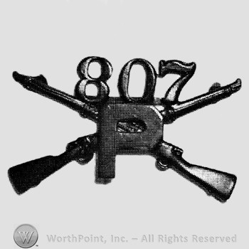 Insignia consisted of crossed rifles, letter P in the center  and number 807 above.