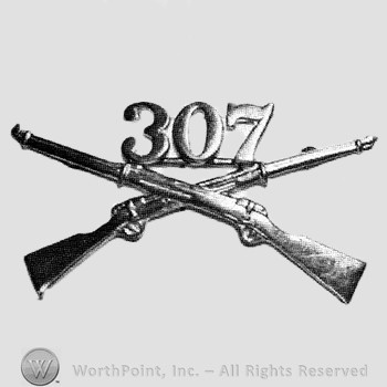 Insignia consisted of crossed rifles and number 307 above the intersection.