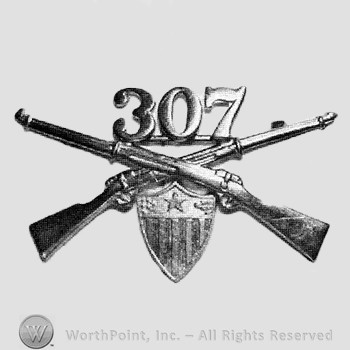 Insignia consisted of crossed rifles, number 307 above the intersection and a shield below.