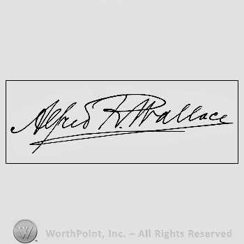 Autograph/signature : Wallace Alfred R.