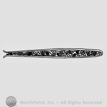 Albany Glass Pattern :Peerless Colonial