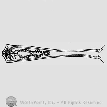 Pattern: Winthrop