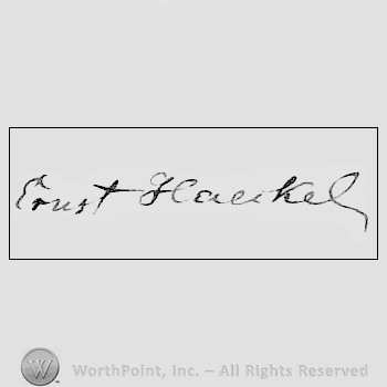 Autograph/signature: Ernst Haekel.