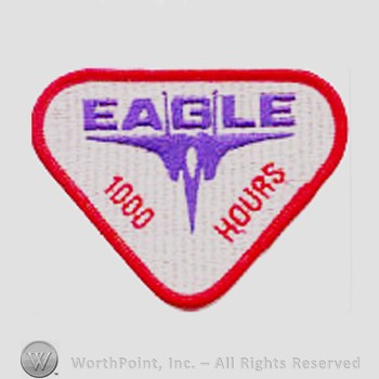 Weapon System Patch, Aircraft Patch : F-15 Eagle 1000 Hours.