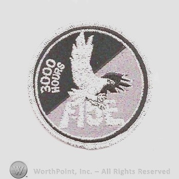 Weapon System Patch, Aircraft Patch : F-15E Strike Eagle 3000 Hours.
