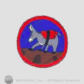 WWII US Army Air Force Numbered Units patch : 22nd Troop Carrier Squadron.