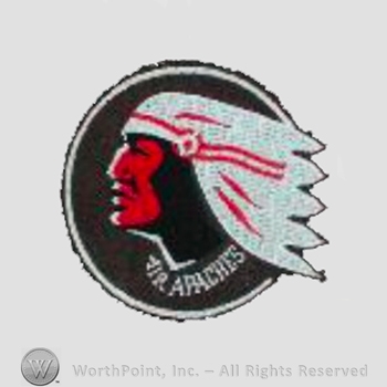WWII US Army Air Force Numbered Units patch : 345th Bomb Squadron.