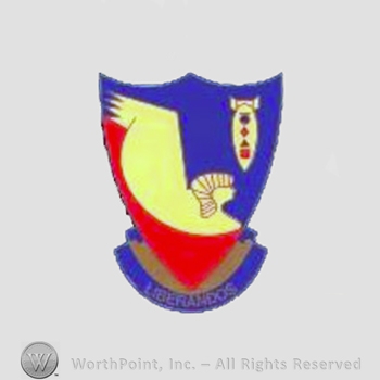 WWII US Army Air Force Numbered Units patch : 376th Bomb Group, 15th Air Force.