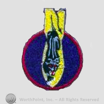 WWII US Army Air Force Numbered Units patch : 494th Fighter Squadron.