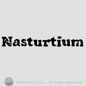 stylish writing NASTURIUM