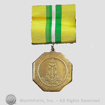 WWI Army Medal : Congressional Texas Cavalry Medal.