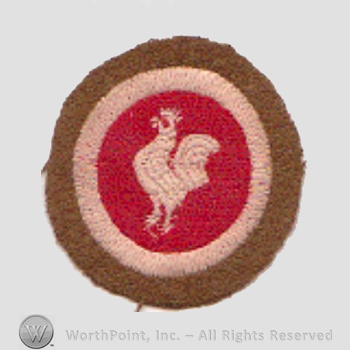 WWI Army Patch : Ambulance Services Made for Reunion.