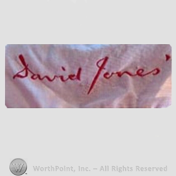 Clothing label : David Jones.