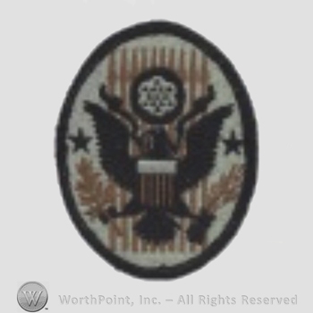 US Army Shoulder Sleeve Insignia: ARNG Civil Support Teams.