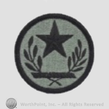 US Army Shoulder Sleeve Insignia: Texas Army National Guard Element, Joint Force Headquarters.