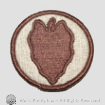 US Army Shoulder Sleeve Insignia: 24th Infantry Divission.