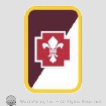 US Army Shoulder Sleeve Insignia: 62nd Medical Brigade.