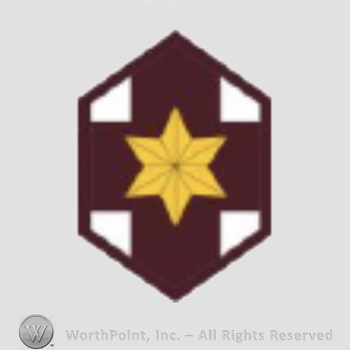 US Army Shoulder Sleeve Insignia: 804th Medical Brigade.