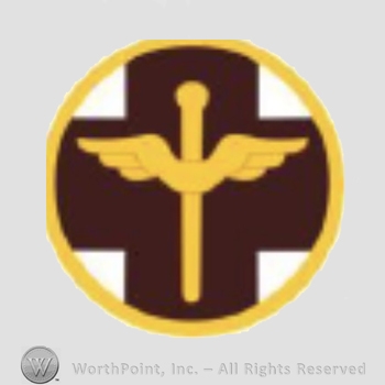 US Army Shoulder Sleeve Insignia: 818th Medical Brigade.
