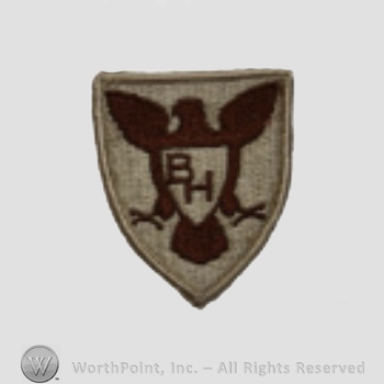US Army Shoulder Sleeve Insignia: 86th Training Division.