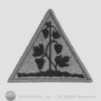 US Army Shoulder Sleeve Insignia: Connecticut State Area Command.