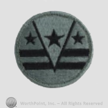 US Army Shoulder Sleeve Insignia: 124th Regional Support Command.