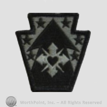 US Army Shoulder Sleeve Insignia: 213rd Regional Support Group.