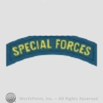 US Army Shoulder Sleeve Insignia: Special Forces Tab.