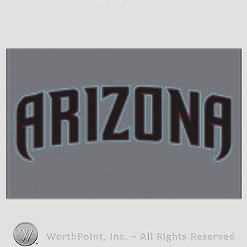 Arizona Diamondbacks sport logo: Arizona written on a grey background.