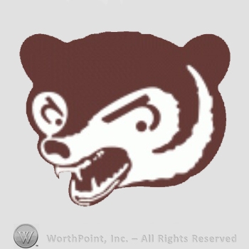Chicago Cubs sport logo: head of an angry bear cub.
