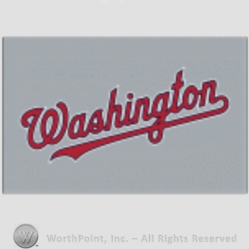 Washington Nationals sport logo: Washington.