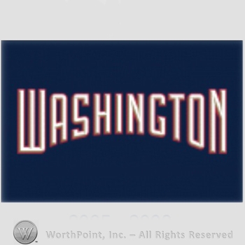 Washington Nationals sport logo: Washington.