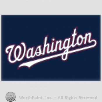 Washington Nationals sport logo: Washington.